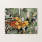 Tiny Orange Wild Mushrooms Nature Puzzle (Horizontal)