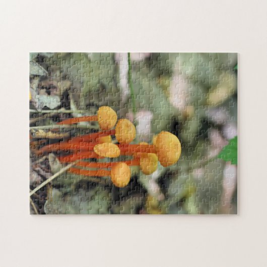 Tiny Orange Wild Mushrooms Nature Puzzle (Horizontal)