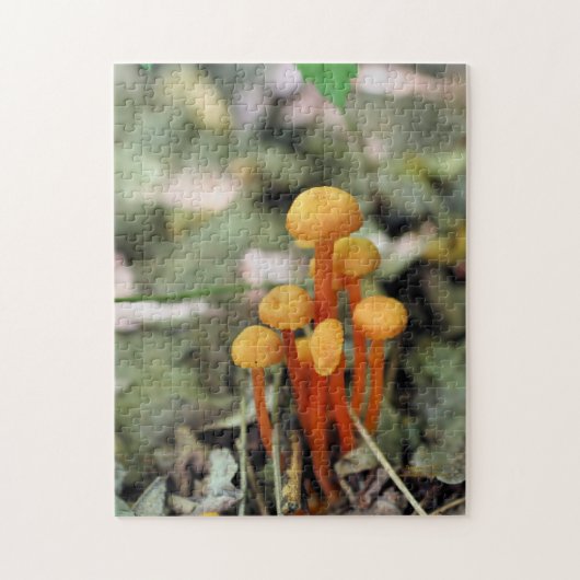 Tiny Orange Wild Mushrooms Nature Puzzle (Vertikal)