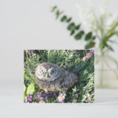 Tiny Owl Postkarte (Stehend Vorderseite)