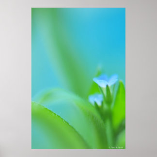 Tiny Perfection Poster