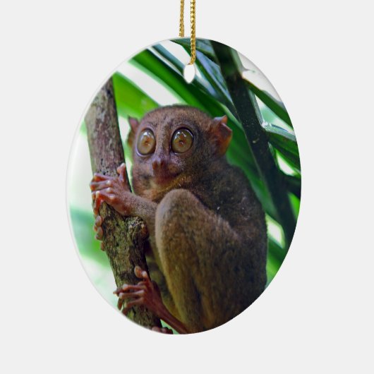 Tiny Philippine tarsier Keramikornament (Rechts)