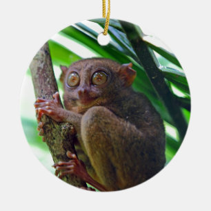 Tiny Philippine tarsier Keramikornament