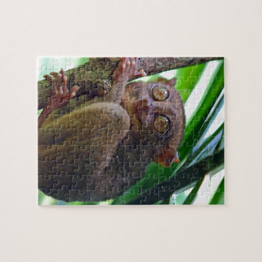 Tiny Philippine tarsier Puzzle (Horizontal)