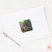 Tiny Philippine tarsier Quadratischer Aufkleber (Umschlag)