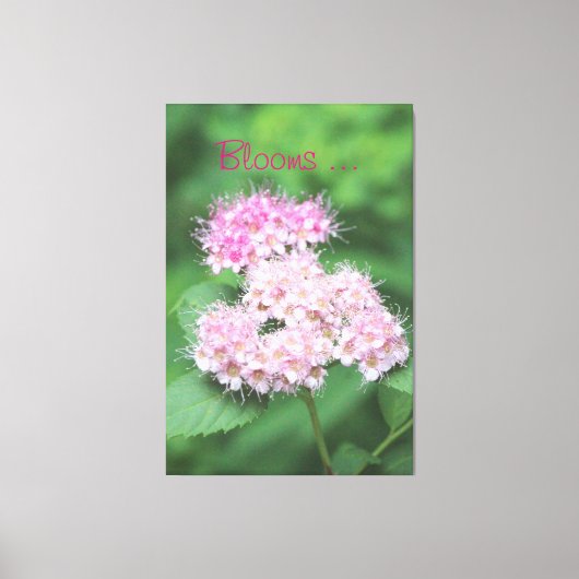 Tiny Pink Bloms Leinwanddruck (Vorderseite)