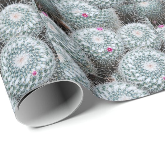 Tiny Pink Blume Cactus Pflanze Geschenkpapier (Rolleneckpunkt)