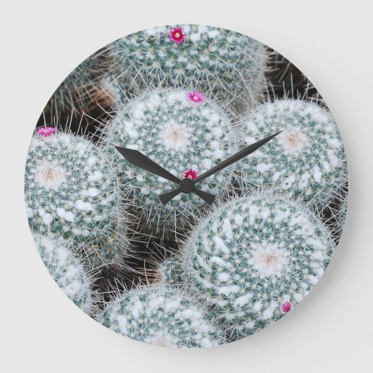 Tiny Pink Blume Cactus Pflanze Große Wanduhr (Vorderseite)