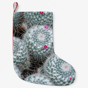 Tiny Pink Blume Cactus Pflanze Kleiner Weihnachtsstrumpf