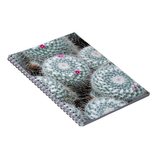 Tiny Pink Blume Cactus Pflanze Notizblock (Rechte Seite)