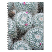 Tiny Pink Blume Cactus Pflanze Notizblock (Vorderseite)