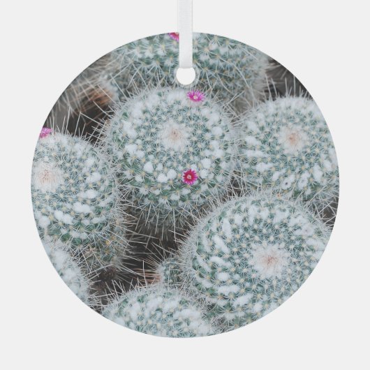 Tiny Pink Blume Cactus Pflanze Ornament Aus Glas (Vorderseite)