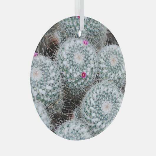 Tiny Pink Blume Cactus Pflanze Ornament Aus Glas (Vorderseite Rechts)