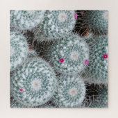 Tiny Pink Blume Cactus Pflanze Puzzle (Horizontal)