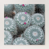 Tiny Pink Blume Cactus Pflanze Puzzle (Vertikal)