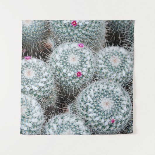 Tiny Pink Blume Cactus Pflanze Wandteppich (Vorderseite)