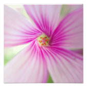 Tiny Pink Blume Fotodruck (Vorne)