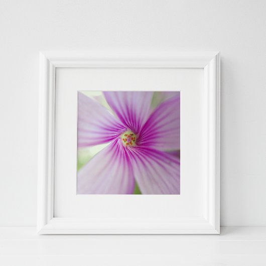 Tiny Pink Blume Fotodruck