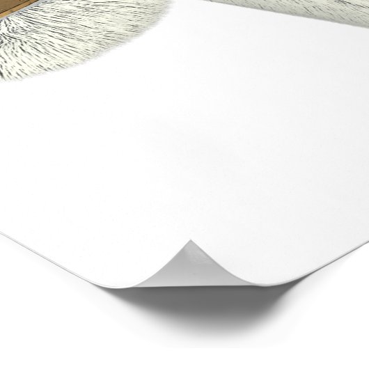 Tiny Planets Sofa Safari Poster (Ecke)