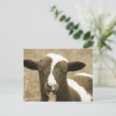 Tiny Postkarte (Stehend Vorderseite)