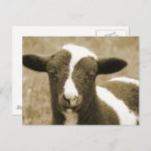 Tiny Postkarte (Vorne/Hinten)