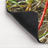 Tiny Red Dragonfly im November Mousepad (Ecke)
