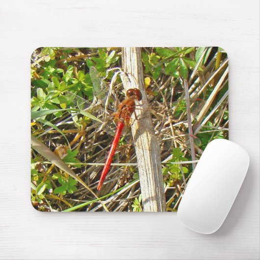 Tiny Red Dragonfly im November Mousepad (Mit Mouse)