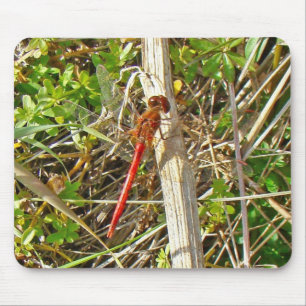 Tiny Red Dragonfly im November Mousepad