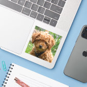 Tiny Red Toy Poodle Puppy Stickers Aufkleber (Laptop mit iPhone)