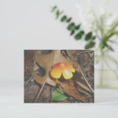 Tiny Red Yellow Mushroom Postcard Postkarte (Stehend Vorderseite)