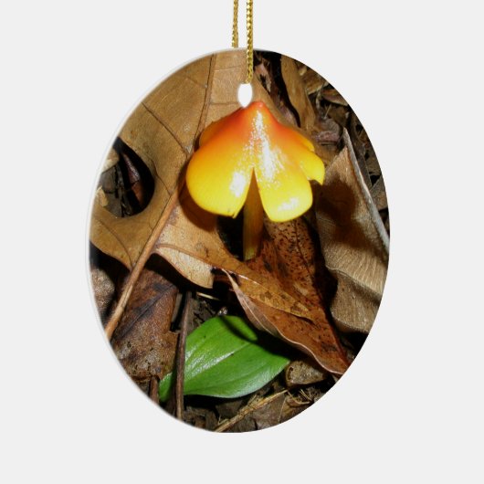 Tiny Red Yellow Mushroom Weihnachtsschmuck (Rechts)