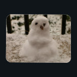 Tiny Snowman Flexible Magnet<br><div class="desc">Es ist Tiny Snowman! Ja, ein Jahr nach einem nächtlichen Schneefall sammelte ich Schnee vom Geländer aus der Veranda und machte diesen winzigen Schneemann mit seinen vierzig bitteren Zweigen für Arme und Schokoladenstückchen für seine Augen und Nase. Nun, ich teile meinen winzigen Schneemann mit dir! Ein schönes Design für die...</div>