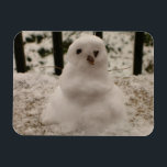 Tiny Snowman Flexible Magnet<br><div class="desc">Es ist Tiny Snowman! Ja, ein Jahr nach einem nächtlichen Schneefall sammelte ich Schnee vom Geländer aus der Veranda und machte diesen winzigen Schneemann mit seinen vierzig bitteren Zweigen für Arme und Schokoladenstückchen für seine Augen und Nase. Nun, ich teile meinen winzigen Schneemann mit dir! Ein schönes Design für die...</div>