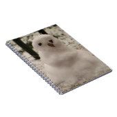 Tiny Snowman Notebook Notizblock (Rechte Seite)