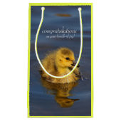 Tiny Swimmer: Kanadisches Gänsedchen Kleine Geschenktüte (Vorderseite)