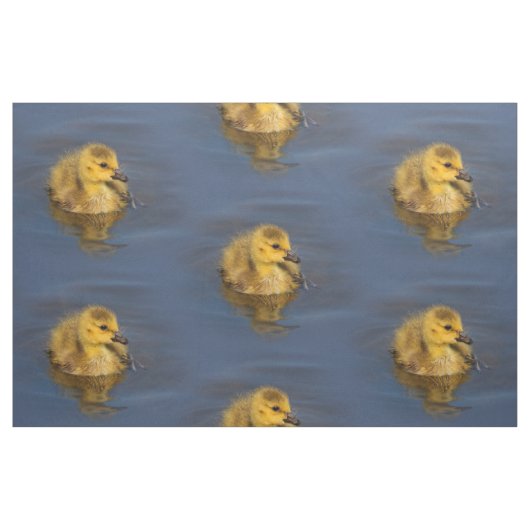 Tiny Swimmer: Kanadisches Gänsedchen Stoff (Fat Quarter (45,7 x 55,9 cm))