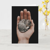 Tiny Tabby Karte (Gelbe Blume)