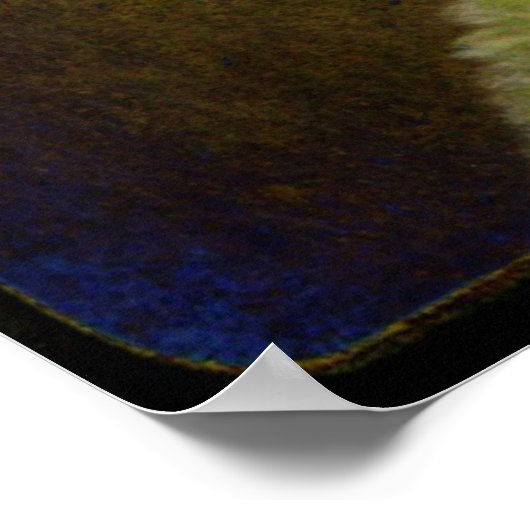 Tiny the Jacob Ewe Lamb Poster (Ecke)