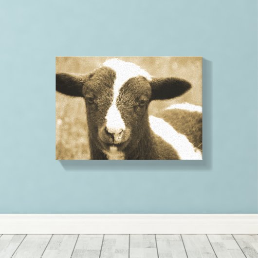 Tiny the Lamb Leinwanddruck (Insitu (Holzboden))