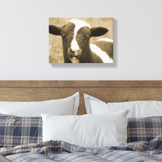 Tiny the Lamb Leinwanddruck (Insitu (Schlafzimmer))
