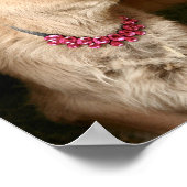 Tiny Tinker, die Kuh mit Klingeln. Poster (Ecke)