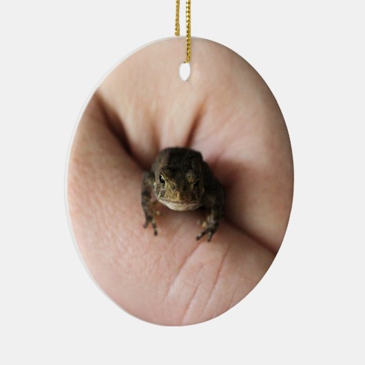 Tiny Toad Keramik Ornament (Rechts)