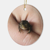 Tiny Toad Keramik Ornament (Links)