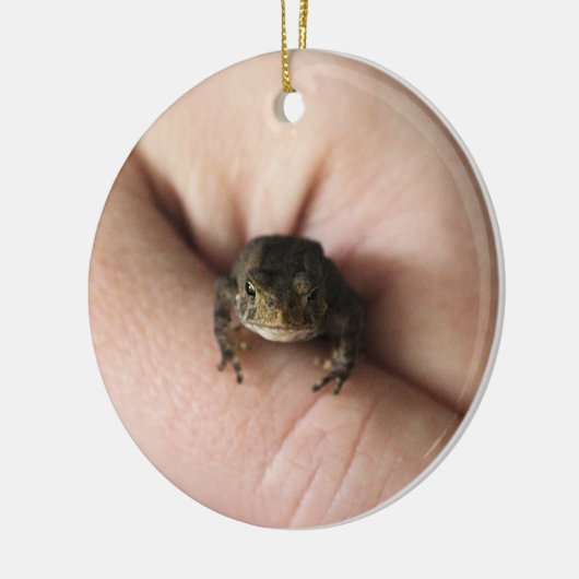 Tiny Toad Keramik Ornament (Links)