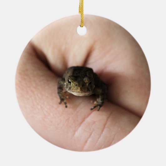 Tiny Toad Keramik Ornament (Hinten)