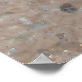 Tiny Toad Poster (Ecke)