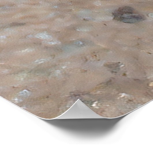 Tiny Toad Poster (Ecke)