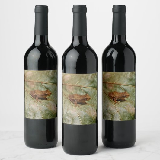 Tiny Toad Weinetikett (Flaschen)