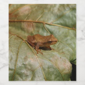 Tiny Toad Weinetikett (Einzelnes Label)