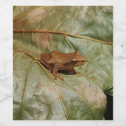 Tiny Toad Weinetikett (Einzelnes Label)